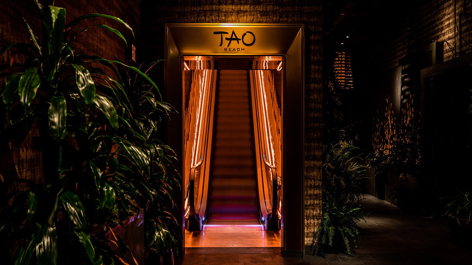 TAO Beach Club